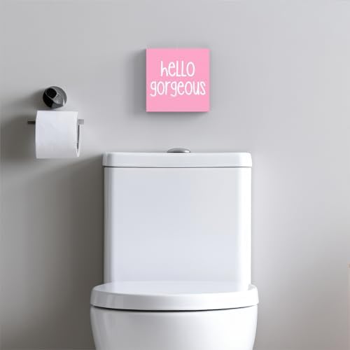 Funny Pink Bathroom Sign Box for Girls and Homes