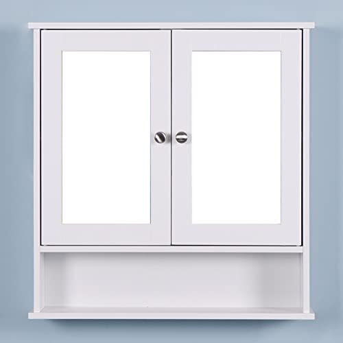 Huedimboene Wall-Mounted Bathroom Medicine Cabinet with Mirror Adjustable Shelf