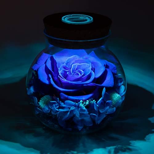 Preserved Real Roses with LED Mood Light