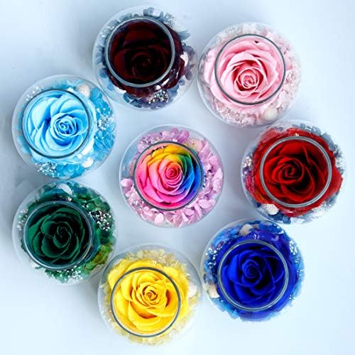 Preserved Real Roses with LED Mood Light