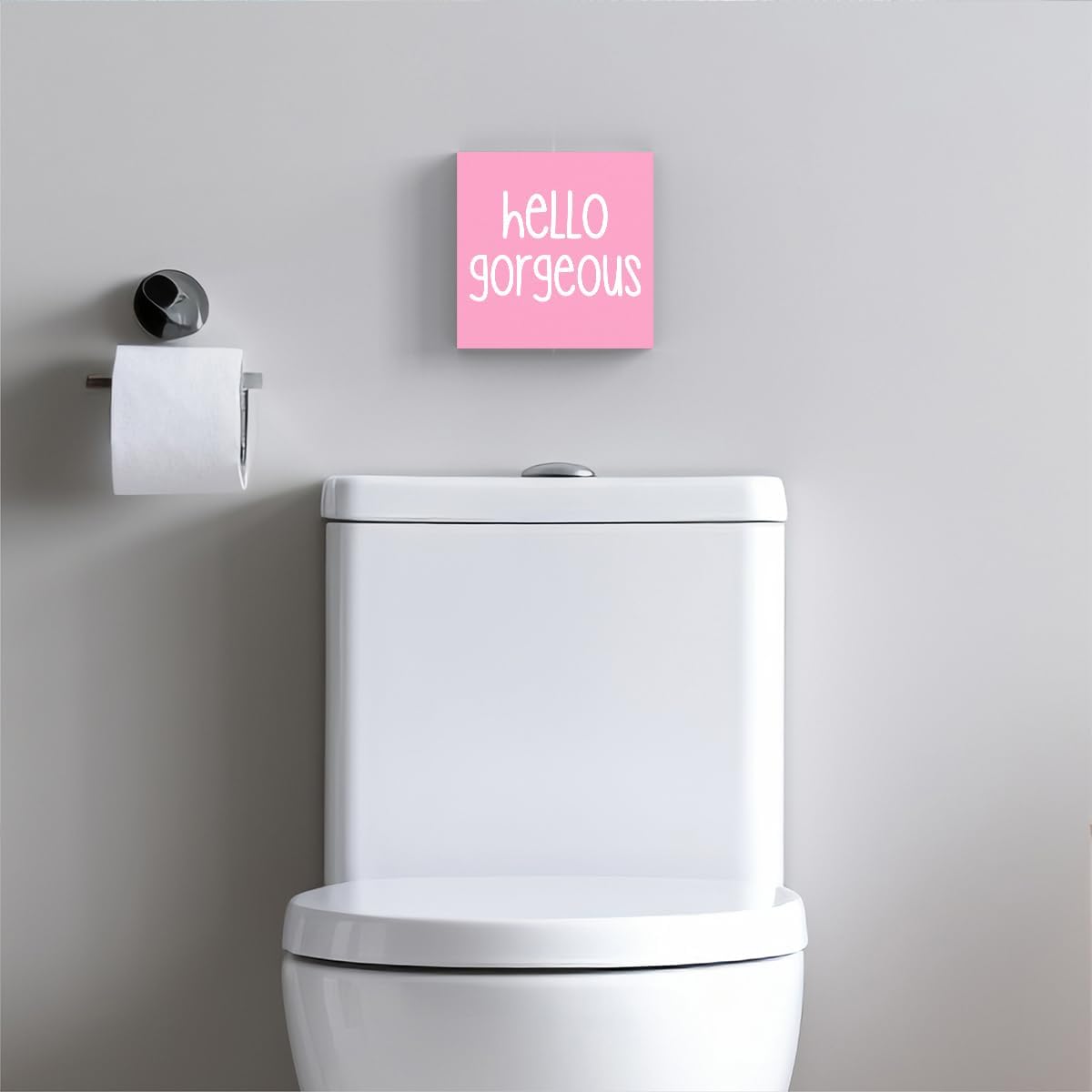 Funny Pink Bathroom Sign Box for Girls and Homes