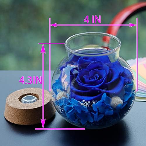 Preserved Real Roses with LED Mood Light
