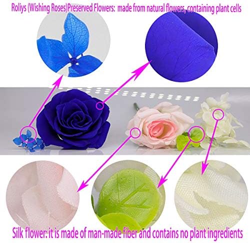 Preserved Real Roses with LED Mood Light