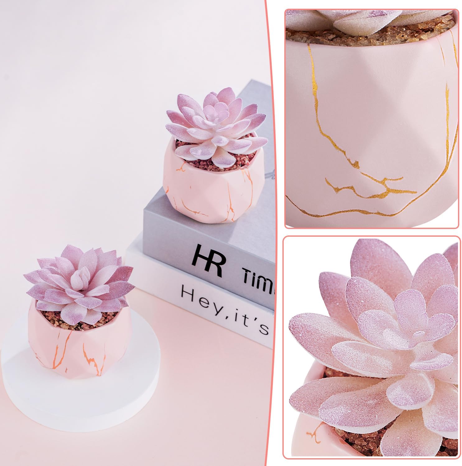 Ballerina Potted Succulents
