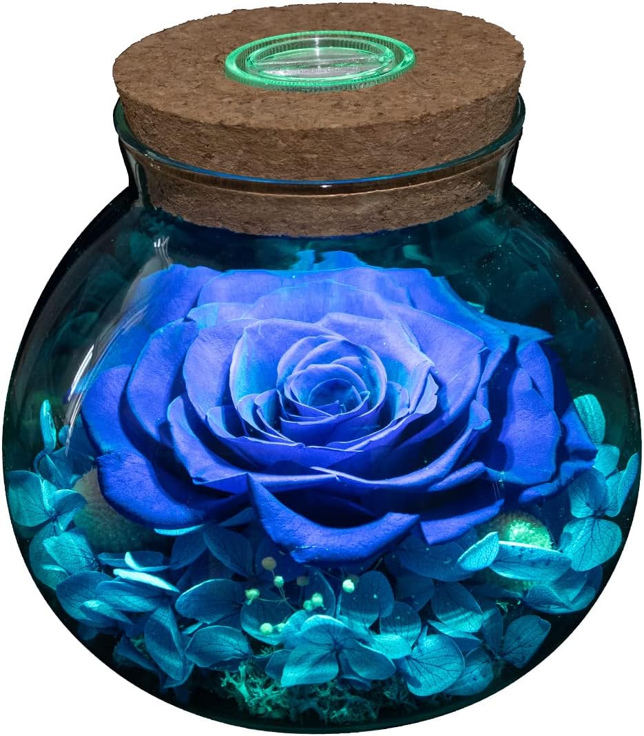 Preserved Real Roses with LED Mood Light